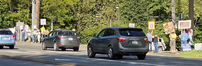 a panorama of the far side of a highway with lots of protesters beyond which are lots of trees