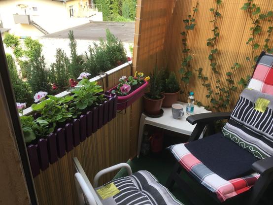 Das Bild zeigt einen gemütlichen Balkon mit bequemen Sitzgelegenheiten, dekoriert mit Bambusmatten und Efeu, sowie einer Vielzahl von Pflanzen in Töpfen und Wandhalterungen, mit Blick auf weitere Gebäude und Grünflächen im Hintergrund.