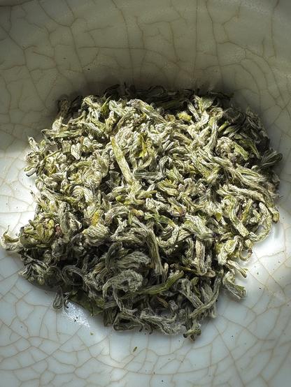 A gaiwan with dried maojian green tea. The leaves are fuzzy, small, and curly.