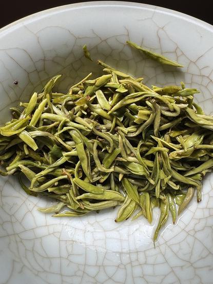 Wet maojian green tea leaves in a gaiwan. They have plumped up and look more like tiny bean pods.