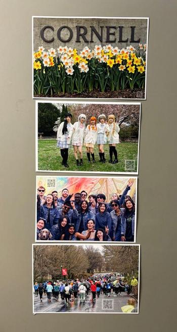 Four prints stuck directly onto a brownish-grey door,  all landscape oriented and slightly cut down from letter-sized paper.  From top to bottom:

Daffodils in from of a CORNELL sign

Five cosplayers with white jackets over muted color dresses with dark socks of varying lengths and bow ties on grassy lawn in front of sakura tree

20 or so people wearing denim jackets in front of variously dyed fabric panels

A large pack of runners running away from me

All picture have a QR code alpha blended on them