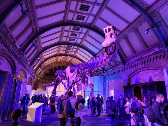 Cast of Patagotitan mayorum at the Natural History Museum of London in the 2023 special exhibition titled Titanosaur: Life as the Biggest Dinosaur. The skeleton takes up most of the space in the large exhibition hall and towers over a crowd of visitors.
