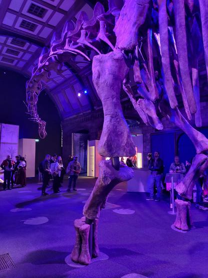 Cast of Patagotitan mayorum at the Natural History Museum of London in the 2023 special exhibition titled Titanosaur: Life as the Biggest Dinosaur. The skeleton takes up most of the space in the large exhibition hall and towers over a crowd of visitors.