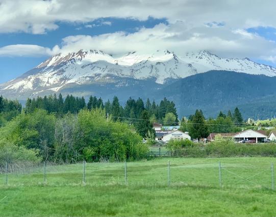 An enormous stratovolcano swathed in clouds and mostly covered in snow dominates the top half of the image. The middle quarter of the image is a mix of evergreens and deciduous trees, with a few structures peeking out. The foreground is a verdant green field.