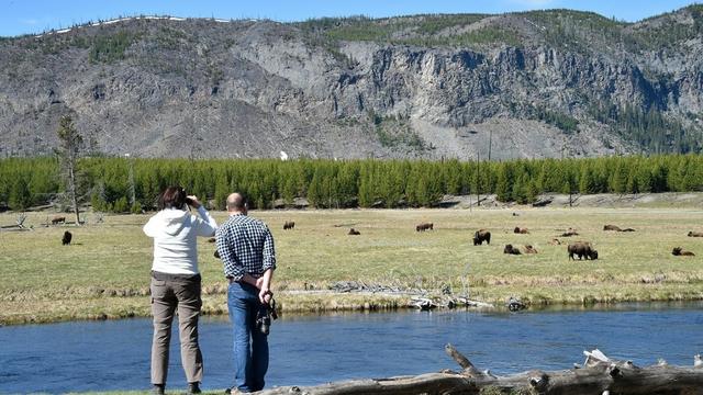 7 doden bij crash toeristenbusje bij Yellowstone National Park