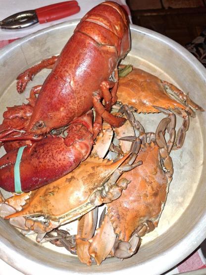 Little seafood night