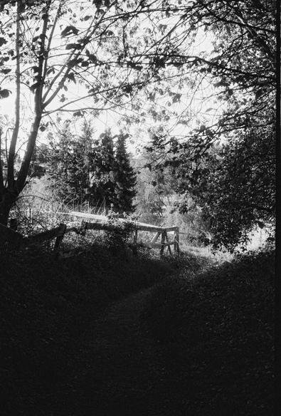 Black and white photo of a shaded path along an old wooden fence with trees and thick grass in the background