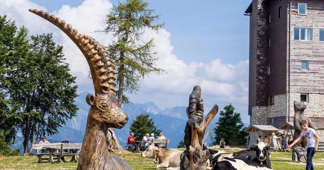 Najbolj pristna slovenska navada obnorela turiste: "Popolna svoboda v naravi!" - Turizem