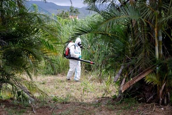 Un+agent+de+lutte+anti-vectorielle+de+l'ARS+intervient+dans+le+cadre+de+la+lutte+contre+la+pandémie+de+chikungunya+transmise+par+les+moustiques+à+Saint-Benoît,+sur+l'île+de+La+Réunion,+le+22+avril+2025.+©+Photo+Ludovic+Marin+/+AFP