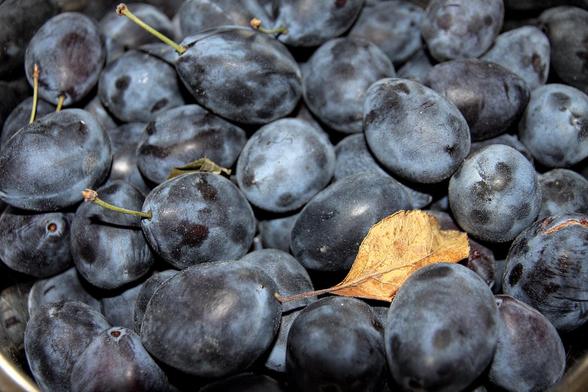 Photo of plums