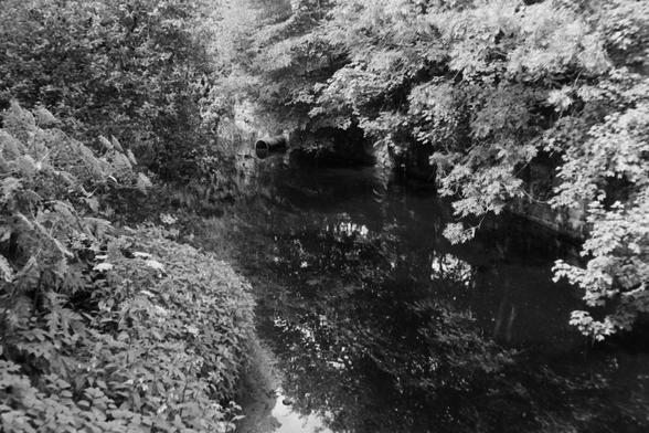 A black and white photograph of an outlet pipe pouring into a small river surrounded by trees