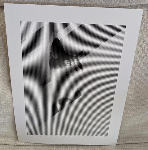 A close up view of a pen plotter drawing that aims to represent a photo of a cat. She's black and white, looking off to the right. The photo is made of lines that are vertical and as the photo gets darker the lines spread out, making a wider dark strip. The photo sits against the back of a light coloured chair