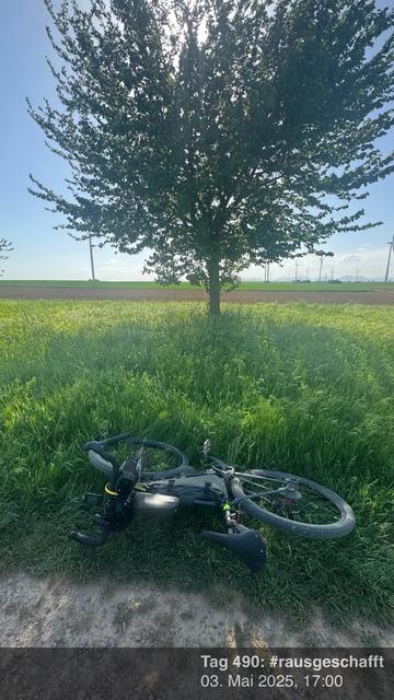Ein Fahrrad liegt im Gras unter einem Baum. Ein blauer Himmel. Der Wind wehrt heftig. Die Sonne scheint.