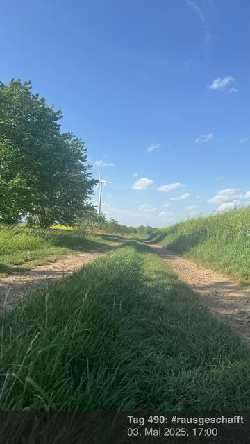 Ein Feldweg mit Gras in der Mitte. Rechts ein Rapsfeld, links Kirschbäume.