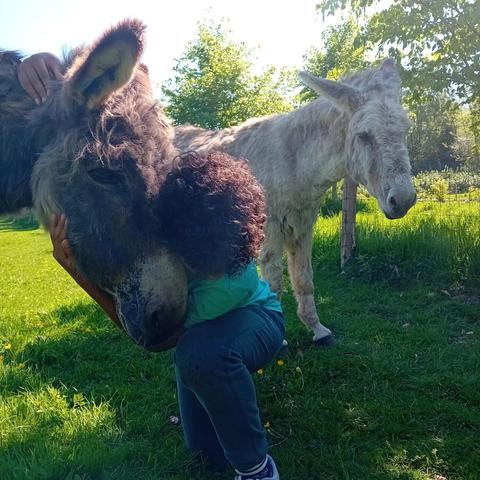 Une photo d'un câlin entre Surprise et lui.  Cadeau est juste derrière