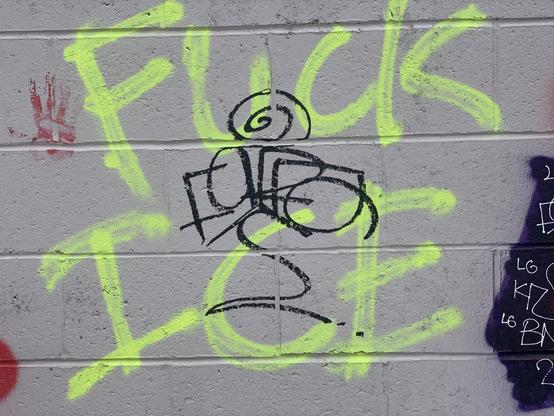 “Fuck Ice” written in neon green spray paint on a gray brick wall
