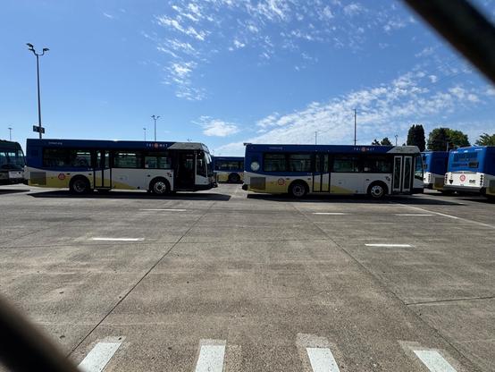 This image captures a spacious outdoor lot filled with public transit buses from TriMet, a Portland, Oregon-area transportation system. Two buses dominate the foreground, facing in opposite directions but aligned side-by-side. They are white with blue roofs and yellow accents, displaying the TriMet logo and trimet.org website. The pavement is wide and empty, marked with white lines for parking. Tall light poles rise in the background under a clear, blue sky dotted with light clouds. Additional buses are parked in the distance, creating a sense of an active but quiet depot.