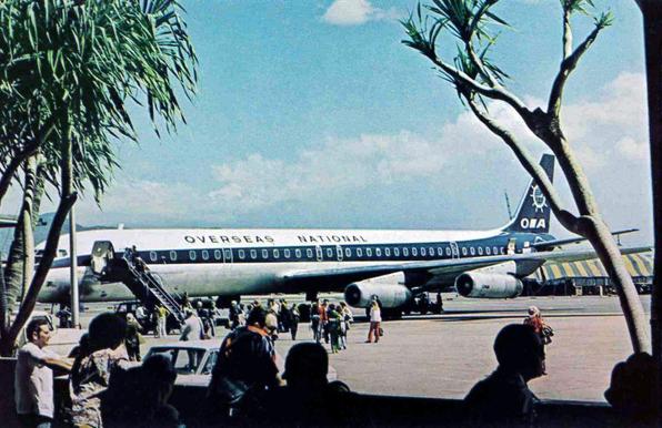 Plane is parked at a terminal and passengers are alighting. The plane is framed on both sides by trees.