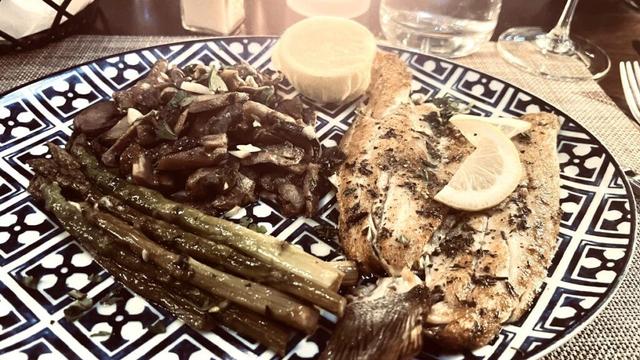 Best Mediterranean food Sebastian Stuart Vero Jensen Beach St Lucie