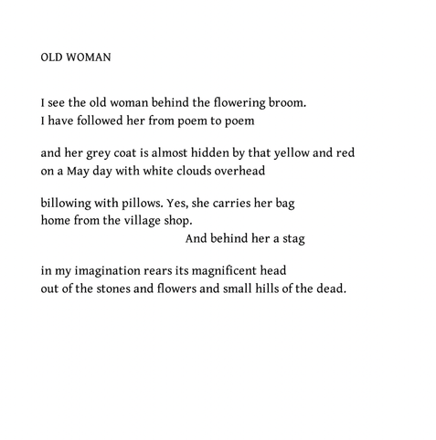 Old Woman
Iain Crichton Smith

I see the old woman behind the flowering broom.
I have followed her from poem to poem

and her grey coat is almost hidden by that yellow and red
on a May day with white clouds overhead

billowing with pillows. Yes, she carries her bag
home from the village shop.
And behind her a stag

in my imagination rears its magnificent head
out of the stones and flowers and small hills of the dead.