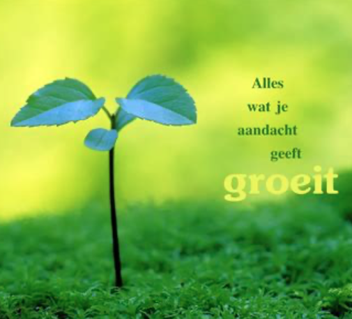 scheut van jonge boom, tekst ‘alles wat je aandacht geeft groeit’ 
i.v.m. democratie en persvrijheid