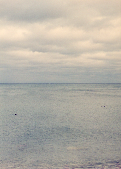 A vertical frame, half lake, half cloudy sky, bisected by a defined horizon. Several waterfowl float nearby.