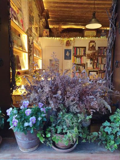 Blick von außen durch eines der Fenster. Im Vordergrund stehen mehrere Töpfe mit Blumen. Der Raum liegt im gelborangen Licht und es sind wieder Bücherregal und nun auch ein Teil der hölzernen Decke mit einer großen runden Lampe zu sehen.