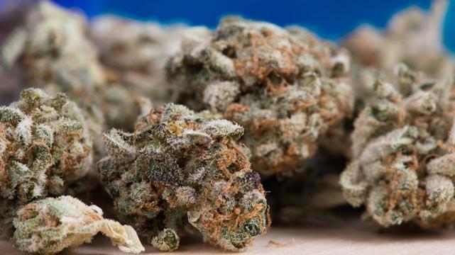 Une serveuse de Niort interpellée près de Nantes avec 31 kg de cannabis maintenue en prison
