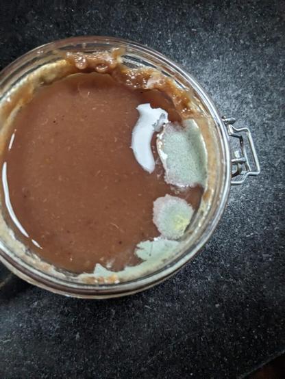 Jam went mouldy? I'm not sure if this is the right place to post but I made a some jam and made sure it was sealed properly. Originally I kept it in the fridge but then recently moved it to room temperature storage and all of a sudden it has gone mouldy. I'm new to this so any advice would be amazin