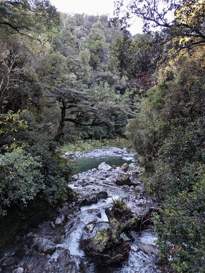 A stream we crossed on the way, when down at the level of the river proper. Deep green.