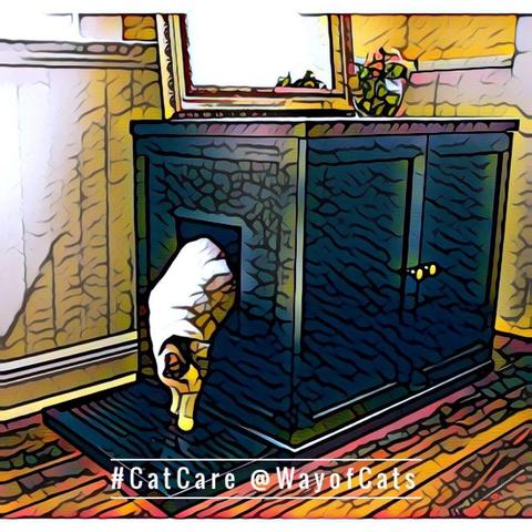 A corner of a room with wooden floor shows a white cat with color patches exiting a black cabinet through a cat-sized door in the side, with a window above the cabinet, and flowers in a vase on top of it, illustrating Litter Boxes and Their Myths.
