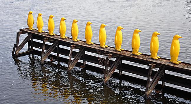 Images from my Photographic Artwork Portfolio can be purchased from my Pixels website at reasonable prices as prints or displayed on various products.

A fun line up of yellow penguins in Prague, Czech Republic.

#Photography  #FineArtPhotography #BuyIntoArt  #AYearForArt #print #photography #mastodon 
#mastophoto #mastoart #photo 

https://john-hughes-photographic.pixels.com/featured/yellow-penguins-john-hughes.html