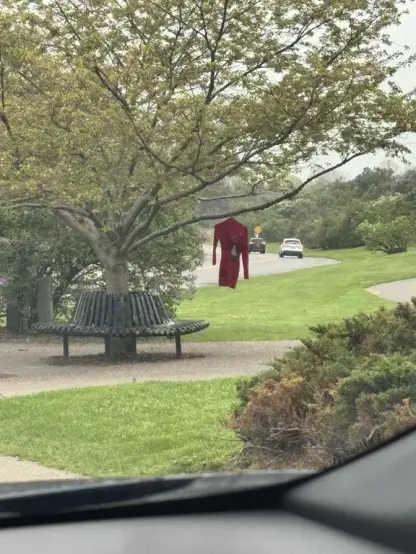 A red dress hanging from a tree