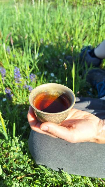 Hand holding grey and brown tea cup, grass and purple flowers in the background