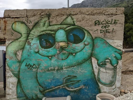 On a huge concrete block a green wild things graffiti cat with sunnies on and the words "recycle or die"