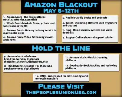 An infographic listing the twelve Amazon companies and subsidiaries listed in my post.
