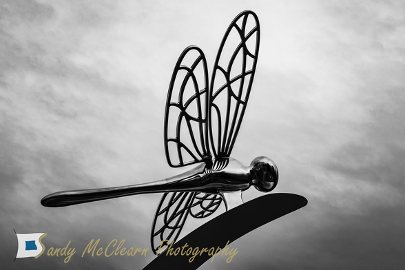 Reflective metal dragonfly sculpture.