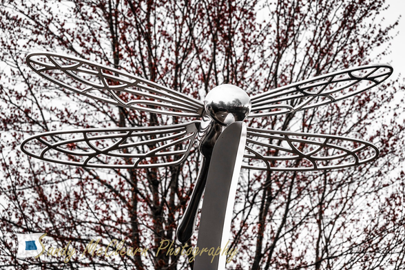 Reflective metal dragonfly sculpture set against a tree.
