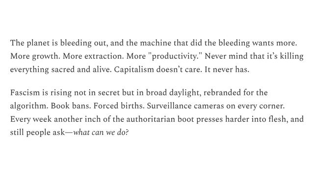 The planet is bleeding out, and the machine that did the bleeding wants more. More growth. More extraction. More "productivity." Never mind that it’s killing everything sacred and alive. Capitalism doesn’t care. It never has.

Fascism is rising not in secret but in broad daylight, rebranded for the algorithm. Book bans. Forced births. Surveillance cameras on every corner. Every week another inch of the authoritarian boot presses harder into flesh, and still people ask—what can we do?