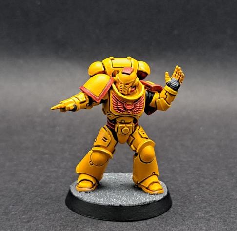 A Space Marine in yellow power armour, with red trim and a red chest aquilla.