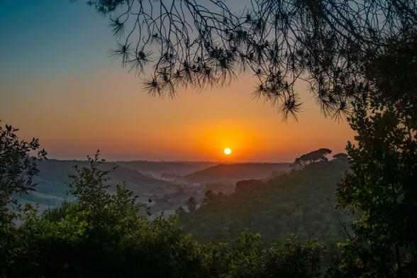 sun rising behind distant hills seen from a wooded hilltop in Portugal