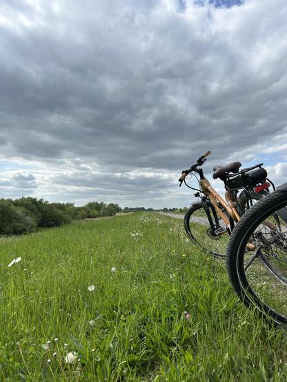 Ein Foto von zwei gelben Fahrrädern auf einem grünen Deich. Der Himmel ist bewölkt.