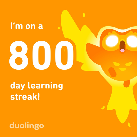 800 day learning streak, duo is on fire