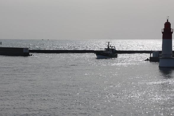 Protection des océans : la France défend une gestion différenciée du chalutage en zones sensibles