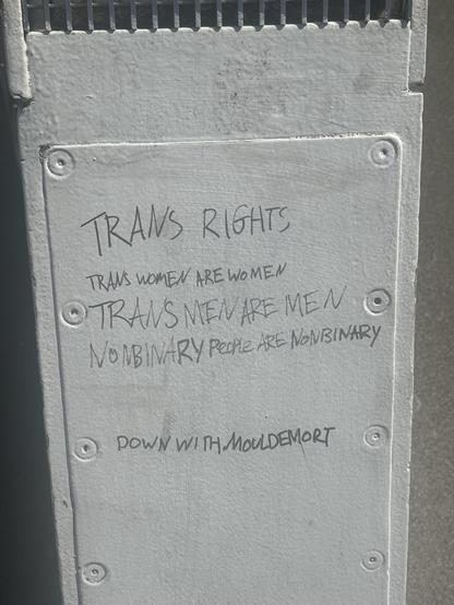 TRANS RIGHTS
TRANS WOMEN ARE WOMEN 
TRANS MEN ARE MEN
NONBINARY PEOPLE ARE NONBINARY
DOWN WITH MOULDEMORT