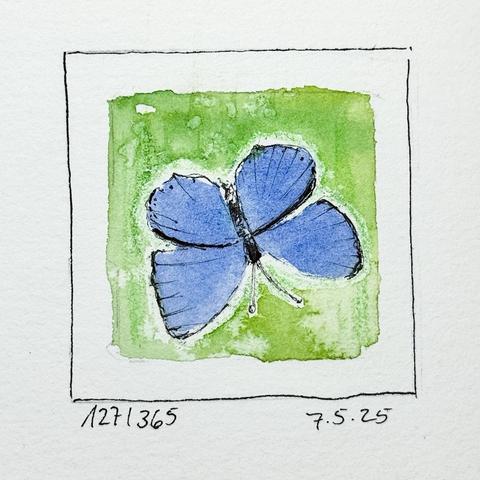 Ein gemalter blauer Schmetterling auf grünem Grund, umrahmt von einer einfachen schwarzen Umrandung, mit Anmerkungen am unteren Rand, die ein Datum und eine Nummer angeben.