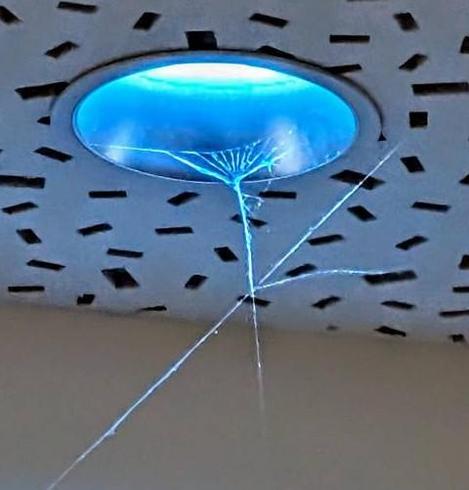 Eine blau leuchtende Lampe, die in die Decke eingelassen ist. Darunter ein vom Licht angestrahltes Spinnennetz.