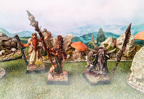 Warhammer models from Albion. 28mm fantasy miniatures.