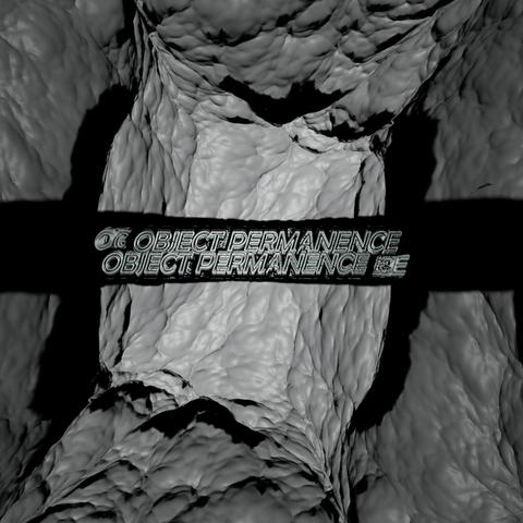 Object Permanence text over a greyscale rendering of an abstract grey 3d texture