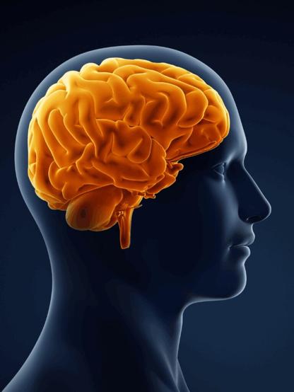 10 foods for brain growth and memory that kids should consume daily - Times of India
